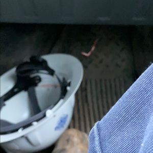 Meet your Posher, Donnie